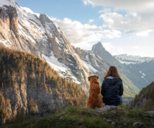 Flying with dog to Europe