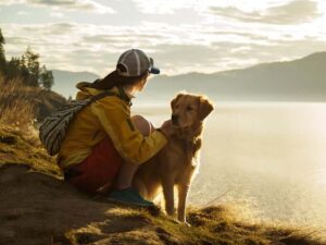 Flying with dog to Europe