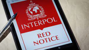 Interpol in Europe 